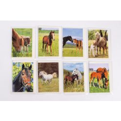 GRUSSKARTE/PFERD 9CM 8S/STÜCK