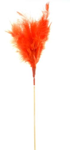 STIFT STIEL ROT        10