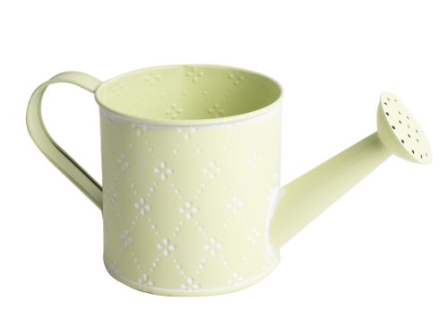 BADGIESSER LIME+BLUMEN 24*11