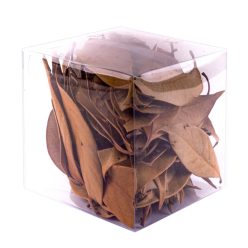 TER.ZITRONE JUNOS NATÜRLICHER HOLZGERUCH