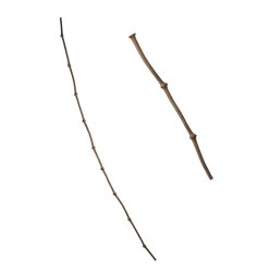 TER.BAMBUS 150CM