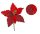 BAR.MIC.BLUME GL.UMR.PI 24