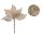BAR.MIC.BLUME GL.UMR.DR 18