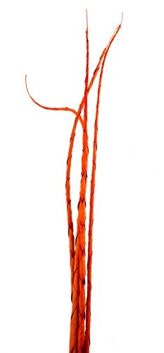 TROP.LEV.*4 SPIRAL ROT120
