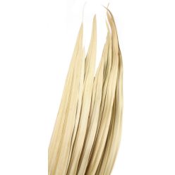 TROP.LEV.VAG.*10 NAT.100CM
