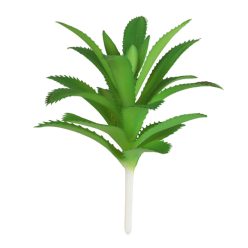 STACHELIGER LEV.ORCHIDEE  12*9CM