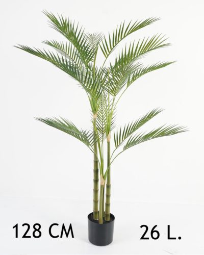 GOLDPALME 4STÄMME/26L.128CM