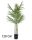 GOLDPALME 4STÄMME 120CM