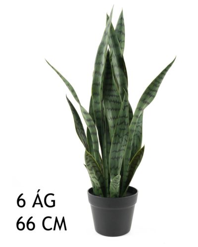 SCHWIEGERMUTTERS ZUNGE GRÜN 6ZWEIGE 66CM
