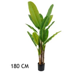 BANANENBAUM GRÜN 3STÄMME 180CM