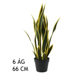 SCHWIEGERMUTTERS ZUNGE GRÜN/GELB 6ZWEIGE 66CM