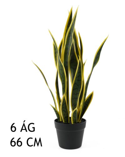 SCHWIEGERMUTTERS ZUNGE GRÜN/GELB 6ZWEIGE 66CM