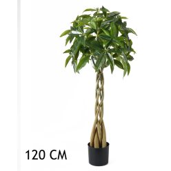 WILDKAKAO 4STÄMME GRÜN 120CM