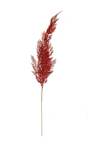 THUJAAG ROT