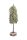 THUJA+FUSS FEUER+FLITT49CM