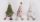 TEXT.FICHTEN LL.PELZIG 3S  28