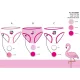 Flamingo Mädchenunterhose - 3er-Pack Baumwollunterhose - 92-98