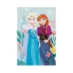 Disney Frozen Fleece-Decke - 100 x 150 cm
