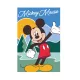Disney Mickey Maus Fleece-Decke - 100 x 150 cm