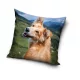 Hunde Kissenbezug 40x40 cm
