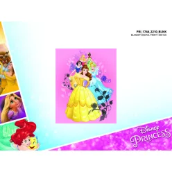 Disney Prinzessinnen Fleece-Decke - 100 x 150 cm