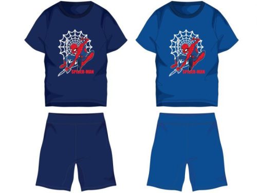 Spiderman Abnutzung Set