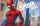 Spider-Man Badezimmermatte, Teppich - 50 x 80 cm